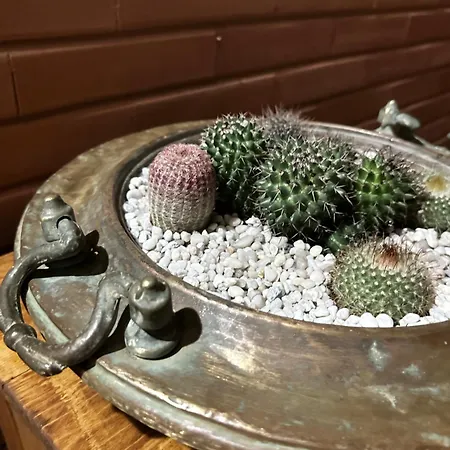 Sogni In Centro كالياري